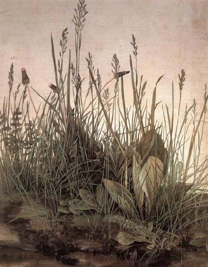 Albrecht Durer The Large Turf oil painting image